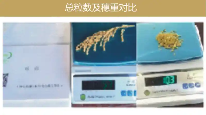 23.png