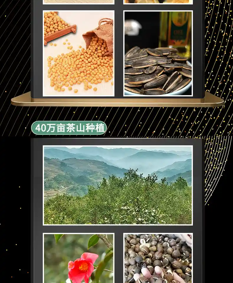 详情_12.jpg