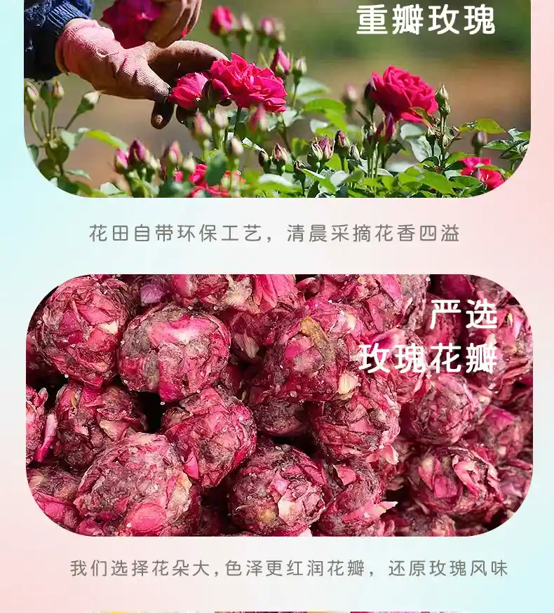 鲜花荟萃-_11.jpg
