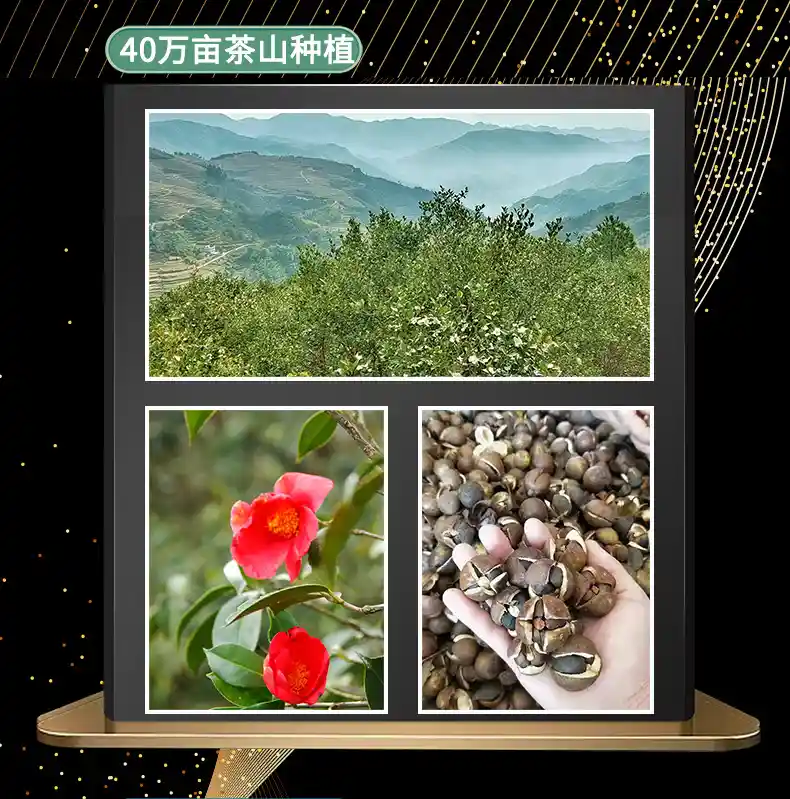 详情_12.jpg