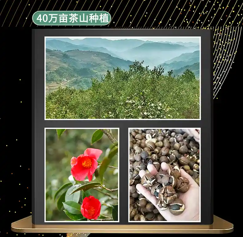详情_13.jpg