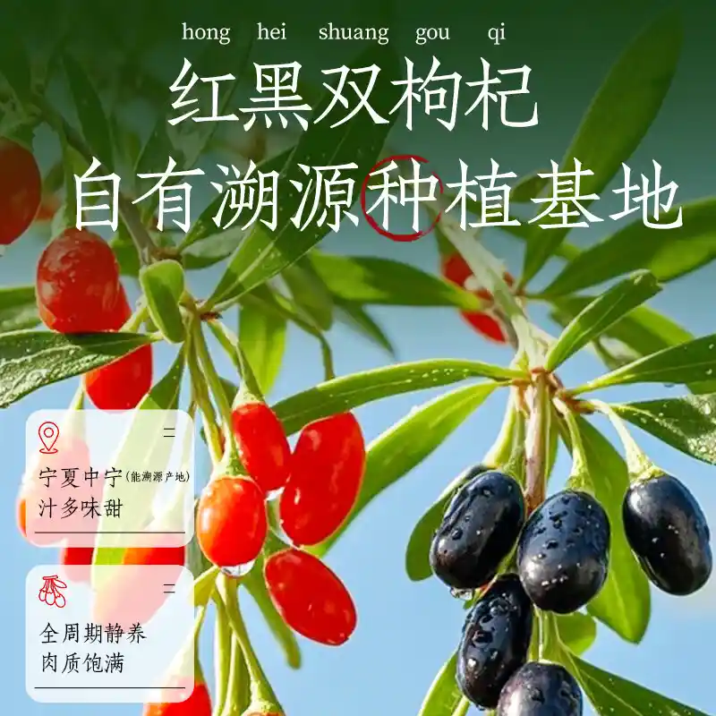 b72e425ca9f0e37e.jpg