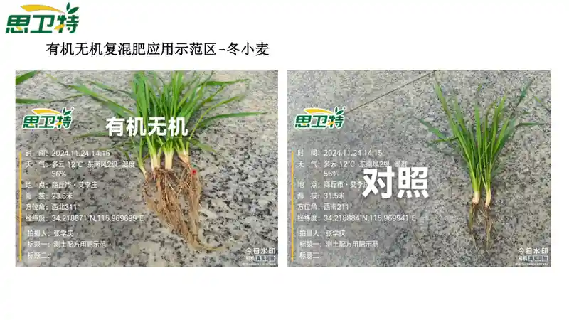 上海思卫特生物科技有限公司ppt28.jpg